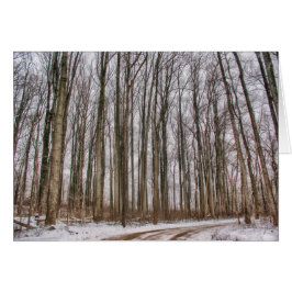 Landweg naar Snowy-Bossen