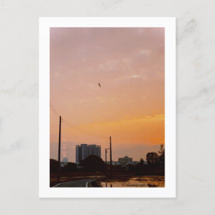 landweg zonsondergang Lente Briefkaart