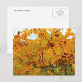 Landwijnbouw Napa Valley Land Briefkaart (Voorkant / Achterkant)