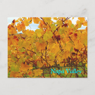 Landwijnbouw Napa Valley Land Briefkaart
