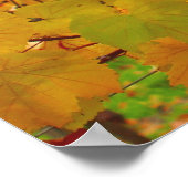 Landwijnbouw Napa Valley Land Poster (Hoek)