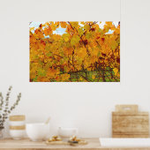 Landwijnbouw Napa Valley Land Poster (Keuken)