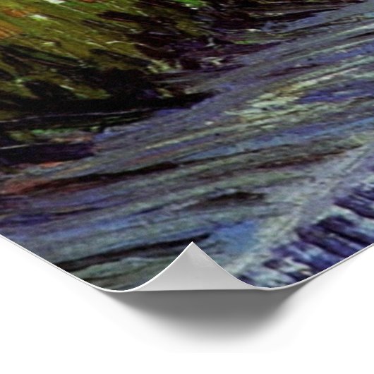 Lane in Voyer d'Argenson Park door Vincent van Gog Poster (Hoek)