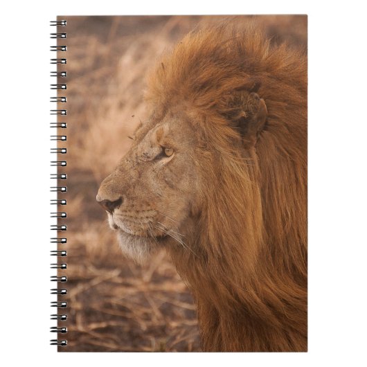 LANG BEHEERDE LION NOTITIEBOEK (Voorkant)
