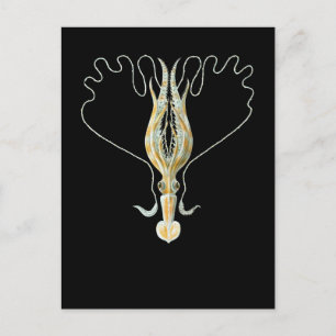 Lang-bewapende Pijlinktvis Briefkaart