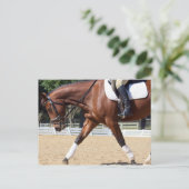 Lang en laag briefkaart (Staand voorkant)