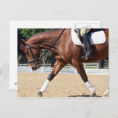 Lang en laag briefkaart (Voorkant / Achterkant)