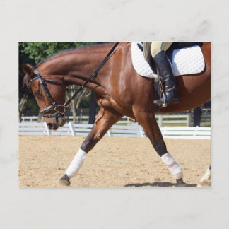 Lang en laag briefkaart