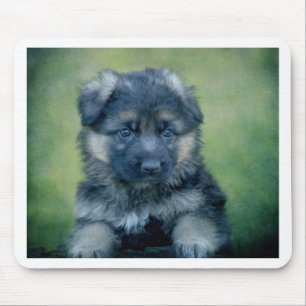 Lang gecoate Duitse Herder Puppy Muismat