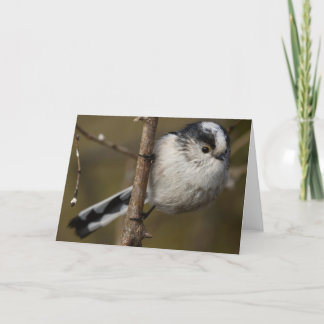 LANG GETAILLEERDE TIT KAART