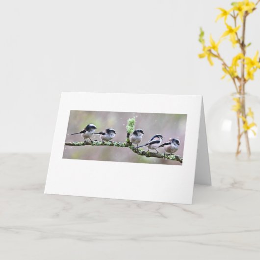 LANG GETAILLEERDE TIT KAART (Gele Bloem)