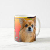 Lang haar Chihuahua genaamd Dylan Koffiemok (Voorkant rechts)