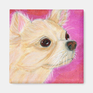 Lang haar Chihuahua Magneet