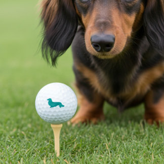 Lang Haar Dachshund Blauwgroen Golfer Gift Golfballen