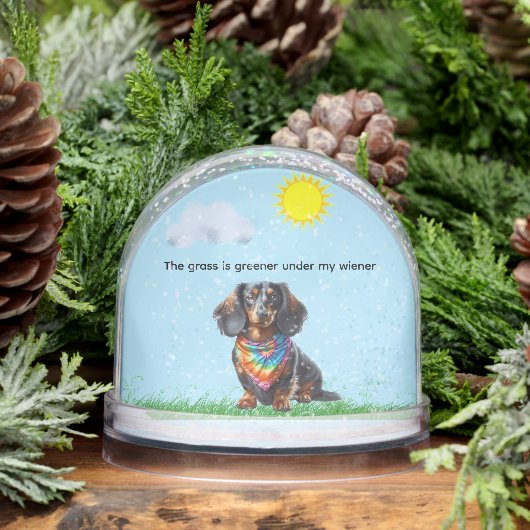 LANG HAAR ZWART EN BRUIN TECKEL SNEEUWBOL (Winter)