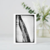 lang, hard koud eenzaam briefkaart (Staand voorkant)