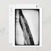 lang, hard koud eenzaam briefkaart (Voorkant / Achterkant)