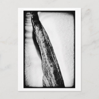 lang, hard koud eenzaam briefkaart