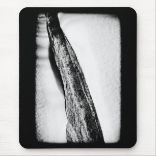 lang, hard koud eenzaam muismat