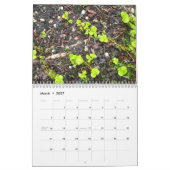LANG ISLAND DAGELIJKS FOTO 2010-kalender Kalender (Mar 2027)