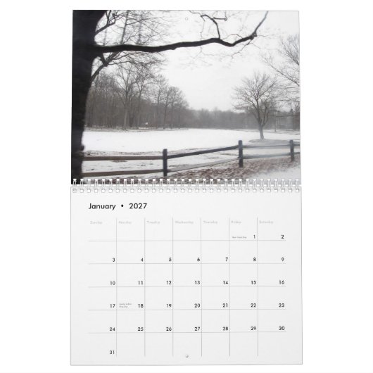 LANG ISLAND DAGELIJKS FOTO 2010-kalender Kalender (Jan 2027)