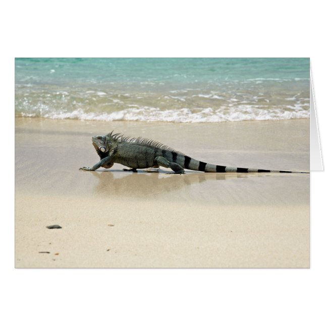 Lang loopt op het strand (Voorkant Horizontaal)
