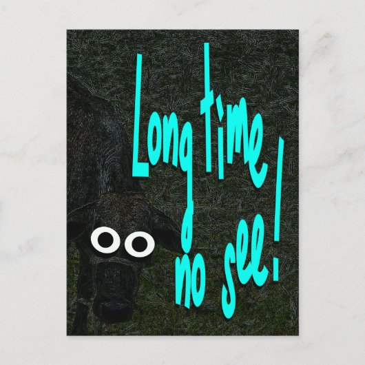 Lang niet gezien. Koe. Dier Briefkaart (Voorkant)