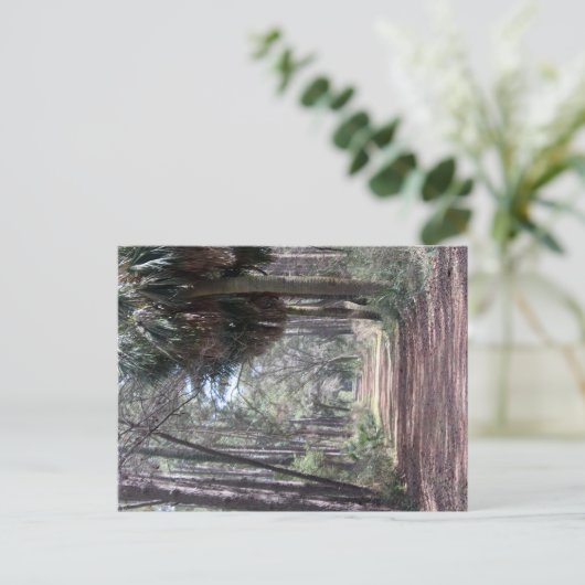 Lang pad door de moerassen briefkaart (Staand voorkant)