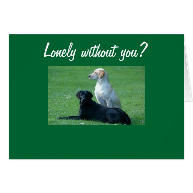 LANG ZONDER JULLIE? (Voorkant Horizontaal)