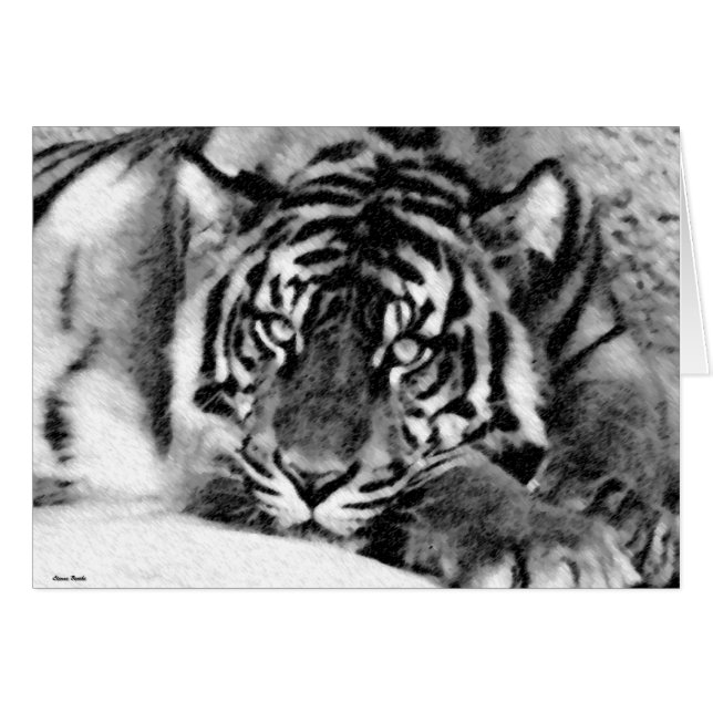 Langdurig (Voorkant Horizontaal)