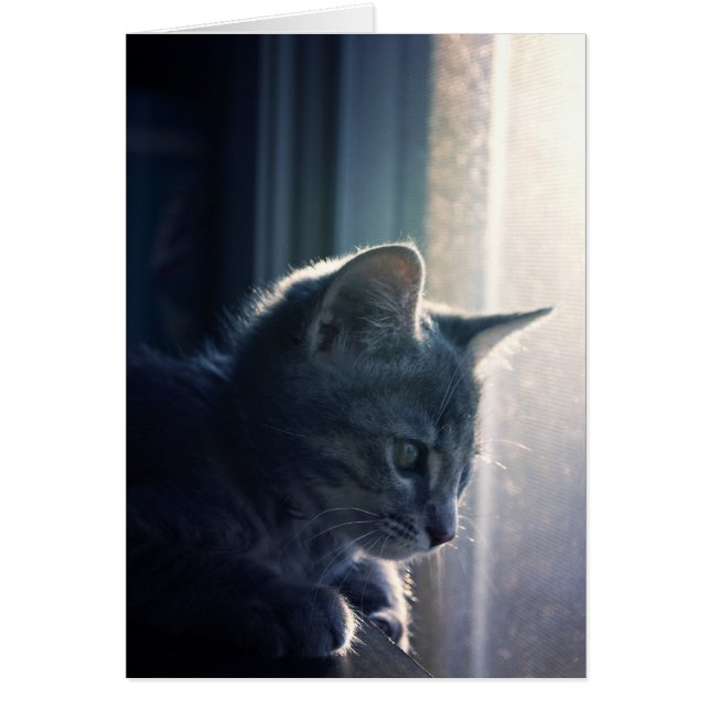 Langdurig (Voorkant)