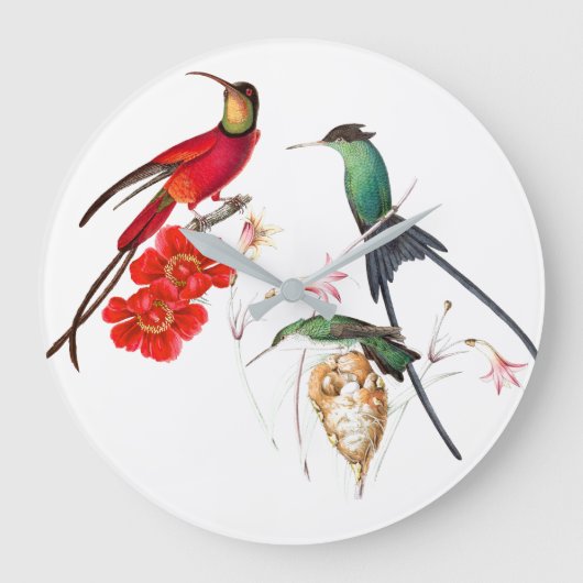 Langdurige Hummingbird Birds Floral Wall Clock Grote Klok (Voorkant)
