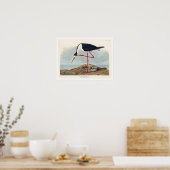 Lange advocaat van het Poster Audubon (Keuken)
