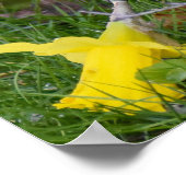 Lange band poster (Hoek)