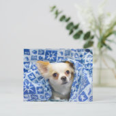 Lange chihuahua puppy briefkaart (Staand voorkant)