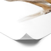 Lange chihuahua puppy poster (Hoek)