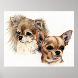 Lange en gladde mantel Chihuahuas Poster