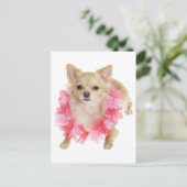 Lange Haar Chihuahua Puppy Dog Post Kaart (Staand voorkant)