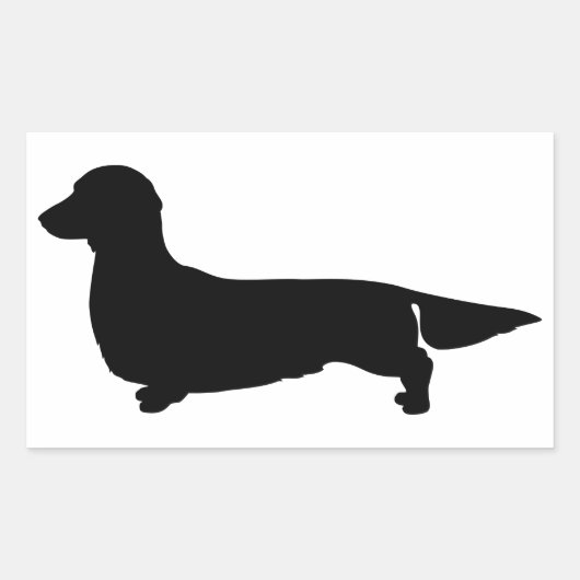 Lange Haar Dachshund Rechthoek Sticker (Voorkant)