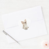Lange Haired Chihuahua Hart Sticker (Envelop)