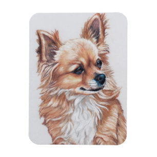 Lange Haired Chihuahua Hond Art Magnet Magneet