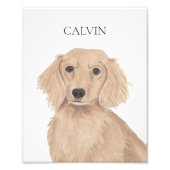 Lange Haired Engels Rood Dachshund Art Foto Afdruk (Voorkant)