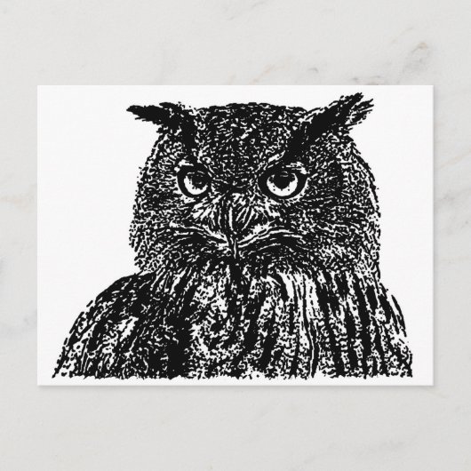 Lange hakboomgaard briefkaart (Voorkant)
