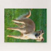 Lange haren Whippet Dogs Jigsaws. Legpuzzel (Horizontaal)