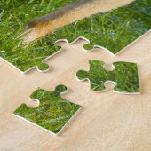 Lange haren Whippet Dogs Jigsaws. Legpuzzel (Zijkant)