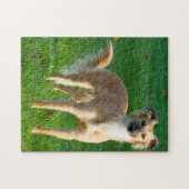 Lange haren Whippet Dogs Jigsaws. Legpuzzel (Horizontaal)