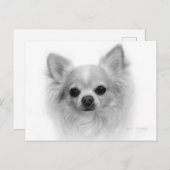 Lange jas Chihuahua - Fine Art by Hand Briefkaart (Voorkant / Achterkant)