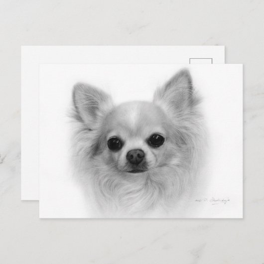 Lange jas Chihuahua - Fine Art by Hand Briefkaart (Voorkant / Achterkant)