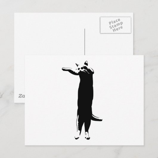 Lange kattenmeme briefkaart (Voorkant / Achterkant)