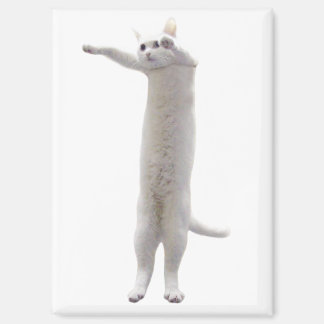 lange kattenmememagnet magneet